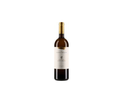 Pinot Grigio Elena Walch - 2021 - 75cL