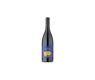 Elena Walch Pinot Noir Ludwig - 2020 - 75cL