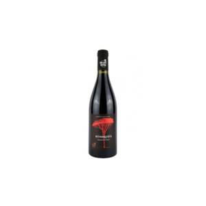 Minervois Derrière Chez Marie - 2020 - 75cL