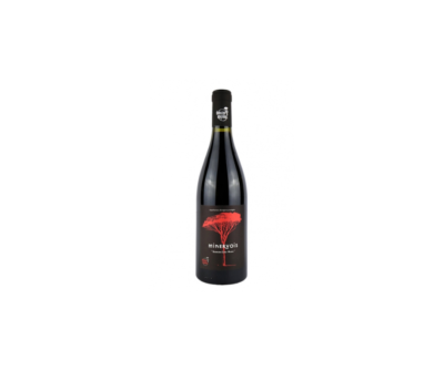 Minervois Derrière Chez Marie - 2020 - 75cL